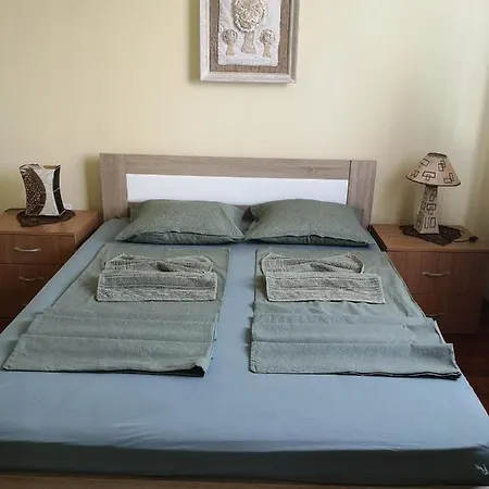 Apartman Stanimirovic Zajecar Exterior photo